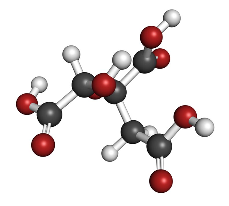 garcinia